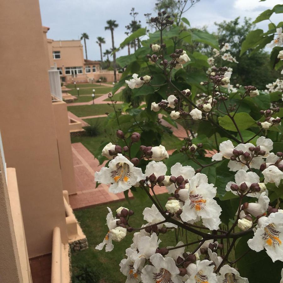 Arenas De Son Bou Otel Dış mekan fotoğraf